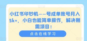 小红书印钞机——号成单账号月入5k+，小白也能简单操作，解决刚需项目【揭秘】-则成副业项目资源站
