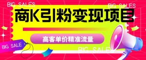 商K引粉变现项目，高客单价精准流量【揭秘】-则成副业项目资源站