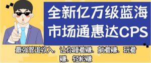 全新亿万级蓝海市场通惠达cps,最强管道收入,让你睡着赚、躺着赚、玩着赚、轻松赚【揭秘】-则成副业项目资源站
