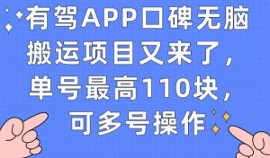 有驾APP口碑无脑搬运项目又来了，单号最高110块，可多号操作-则成副业项目资源站