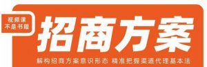王昕招商方案,解构招商方案意识形态,精准把握渠道代理基本法-则成副业项目资源站
