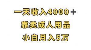 一天收入4000+，靠卖成人用品，小白轻松月入5万【揭秘】-则成副业项目资源站