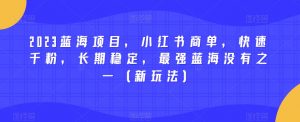 2023蓝海项目,小红书商单,快速千粉,长期稳定,最强蓝海没有之一(新玩法)-则成副业项目资源站