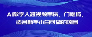 AI数字人短视频带货,门槛低,适合新手小白可做的项目-则成副业项目资源站