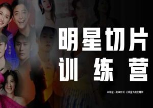 王子·明星切片线上训练营(2023),和明星一起拿红利,让明星为我们赚钱-则成副业项目资源站