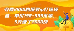 收费2980的塔罗ip打造项目，单价198-999不等，5天赚了2000块【揭秘】-则成副业项目资源站
