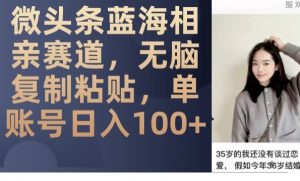 微头条蓝海相亲赛道，无脑复制粘贴，单账号日入100+-则成副业项目资源站