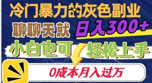 冷门暴利的副业项目，聊聊天就能日入300+，0成本月入过万【揭秘】-则成副业项目资源站