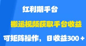 搬运视频获取平台收益，平台红利期，附保姆级教程【揭秘】-则成副业项目资源站