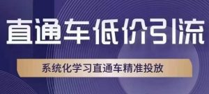 直通车低价引流课,系统化学习直通车精准投放-则成副业项目资源站