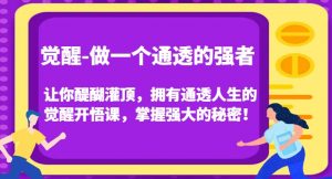 觉醒-做一个通透的强者,让你醍醐灌顶,拥有通透人生的觉醒开悟课,掌握强大的秘密!-则成副业项目资源站