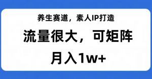 养生赛道，素人IP打造，流量很大，可矩阵，月入1w+【揭秘】-则成副业项目资源站