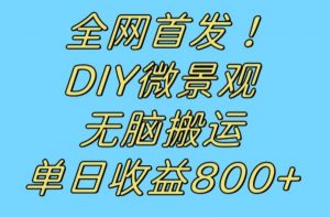 全网首发冷门赛道!DIY微景观,无脑搬运视频,日收益800+【揭秘】-则成副业项目资源站