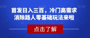 首发日入三百,冷门高需求消除路人零基础玩法来啦【揭秘】-则成副业项目资源站