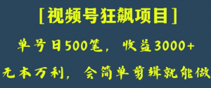 日收款500笔，纯利润3000+，视频号狂飙项目，会简单剪辑就能做【揭秘】-则成副业项目资源站