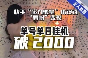 【日入破2000】快手无人直播不进人?“磁力聚星”没收益?不会卡屏、卡同城流量?最新课程会通通解决!-则成副业项目资源站