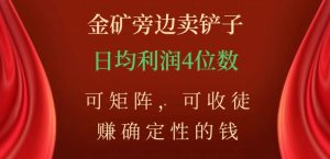 金矿旁边卖铲子，赚确定性的钱，可矩阵，可收徒，日均利润4位数【揭秘】-则成副业项目资源站