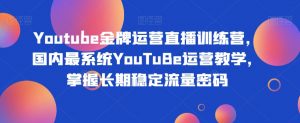 Youtube金牌运营直播训练营,国内最系统YouTuBe运营教学,掌握长期稳定流量密码-则成副业项目资源站