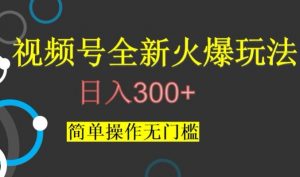 视频号最新爆火玩法，日入300+，简单操作无门槛【揭秘】-则成副业项目资源站