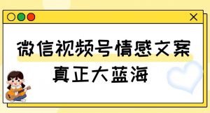 视频号情感文案，真正大蓝海，简单操作，新手小白轻松上手（教程+素材）【揭秘】-则成副业项目资源站