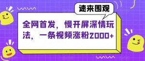 全网首发，慢开屏深情玩法，一条视频涨粉2000+【揭秘】-则成副业项目资源站