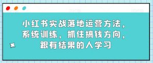 小红书实战落地运营方法，系统训练，抓住搞钱方向，跟有结果的人学习-则成副业项目资源站