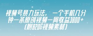 视频号暴力玩法，一个手机几分钟一条原创视频一周收益3800+（附820G视频素材）-则成副业项目资源站
