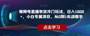 视频号直播带货冷门玩法，日入1000+，小白专属项目，从0到1实战教学【揭秘】-则成副业项目资源站