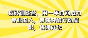 板砖训练营,用一年时间成为专业的人,带你突破行动局限,快速成长-则成副业项目资源站