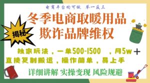 利用电商平台冬季销售取暖用品欺诈行为合理制裁店铺，单日入900+【仅揭秘】-则成副业项目资源站