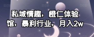私域情趣，橙仁体验馆，暴利行业，月入2w【揭秘】-则成副业项目资源站
