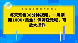 每天观看30分钟视频，一月躺赚1000+美金！保姆级教程，可放大操作【揭秘】-则成副业项目资源站