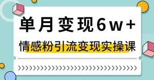单月变现6W+，抖音情感粉引流变现实操课，小白可做，轻松上手，独家赛道【揭秘】-则成副业项目资源站