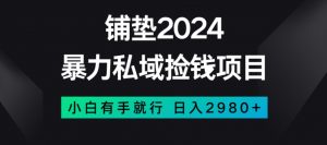 暴力私域捡钱项目，小白无脑操作，日入2980【揭秘】-则成副业项目资源站