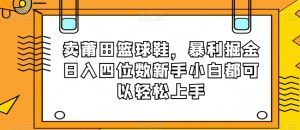 卖莆田篮球鞋,暴利掘金日入四位数新手小白都可以轻松上手【揭秘】-则成副业项目资源站