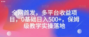 全网首发，多平台收益项目，0基础日入500+，保姆级教学实操落地【揭秘】-则成副业项目资源站
