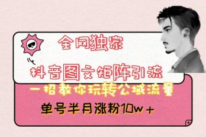 全网独家抖音图文矩阵引流,一招教你玩转公域流量,单号半月涨粉10w+【揭秘】-则成副业项目资源站