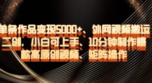 单条作品变现5000+、外网视频搬运二创，小白可上手，10分钟制作爆款高原创视频，矩阵操作【揭秘】-则成副业项目资源站