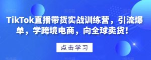 TikTok直播带货实战训练营，引流爆单，学跨境电商，向全球卖货！-则成副业项目资源站