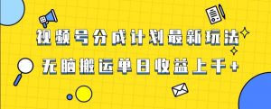 视频号最新爆火赛道玩法，只需无脑搬运，轻松过原创，单日收益上千【揭秘】-则成副业项目资源站