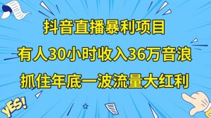 抖音直播暴利项目,有人30小时收入36万音浪,公司宣传片年会视频制作,抓住年底一波流量大红利【揭秘】-则成副业项目资源站