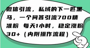怎么搞精准创业粉？微信新赛道，每天一小时，利用Ai一个问答日引100精准粉-则成副业项目资源站
