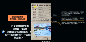 十万个富翁修炼宝典之5.揭秘旅游卡项目骗局，号称“一张卡赚500，一天能卖两三张”-则成副业项目资源站
