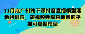 11月底广州线下课抖音直播模型落地特训营,短视频锤爆直播间的平播可复制模型-则成副业项目资源站