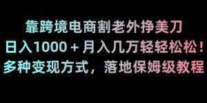 靠跨境电商割老外挣美刀,日入1000+月入几万轻轻松松!多种变现方式,落地保姆级教程【揭秘】-则成副业项目资源站