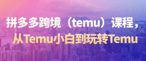 拼多多跨境(temu)课程,从Temu小白到玩转Temu-则成副业项目资源站