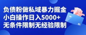 负债粉私域暴力掘金,小白操作入5000,无经验限制,无条件限制【揭秘】-则成副业项目资源站