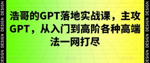 浩哥的GPT落地实战课，主攻GPT，从入门到高阶各种高端法一网打尽-则成副业项目资源站