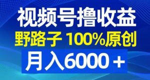 视频号野路子撸收益，100%原创，条条爆款，月入6000＋【揭秘】-则成副业项目资源站