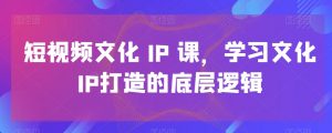 短视频文化IP课,学习文化IP打造的底层逻辑-则成副业项目资源站